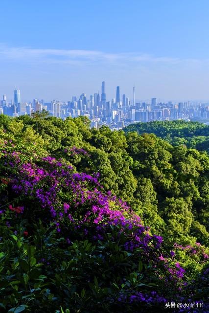 广州白云山属于哪个区?一起来看看吧