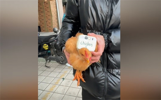 Chicken 3是什么意思？解释Chicken 3