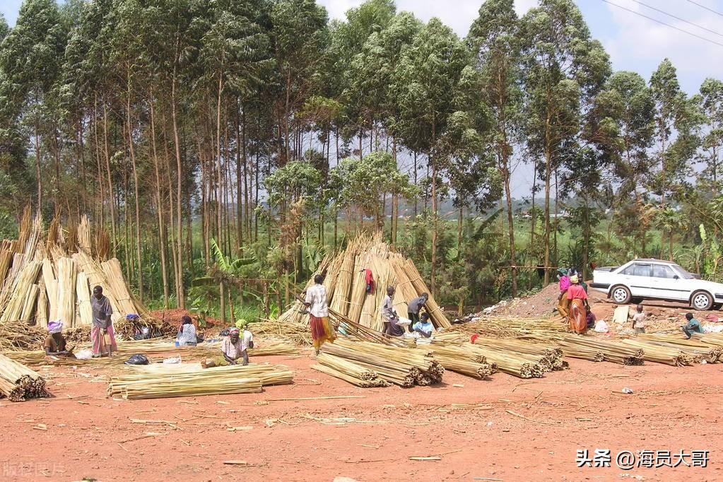 乌干达最热是多少度 乌干达,一个船员难以企及的国家.