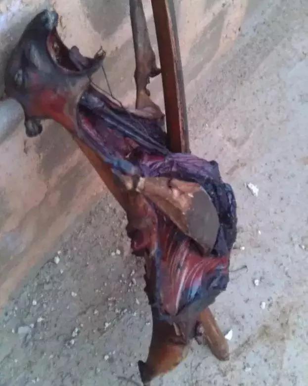 尼日利亚人种 非洲的真实故事:你不知道的尼日利亚