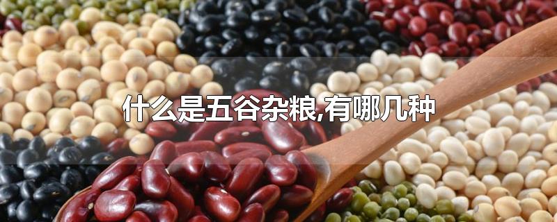 ​什么是五谷杂粮,有哪几种