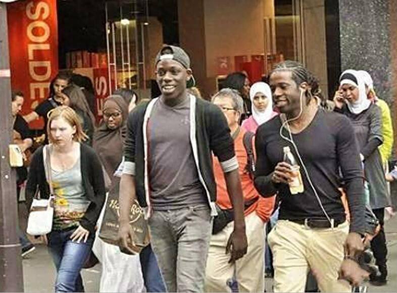 法国属于欧洲国家吗，法国人是非洲人，看这个就知道了