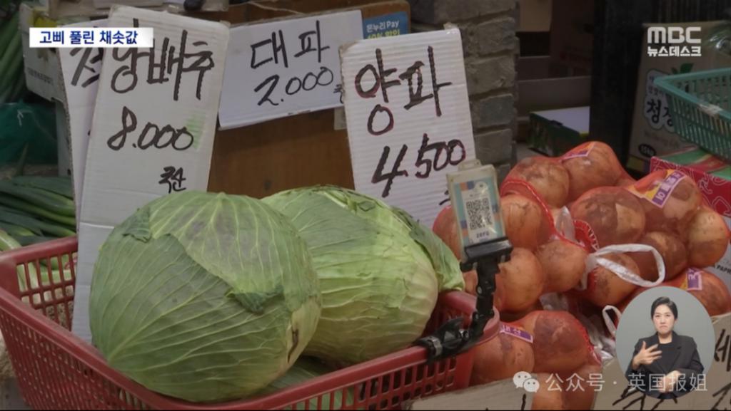韩国泡菜价暴涨,紧急进口中国大白菜!营养不良人数翻2倍