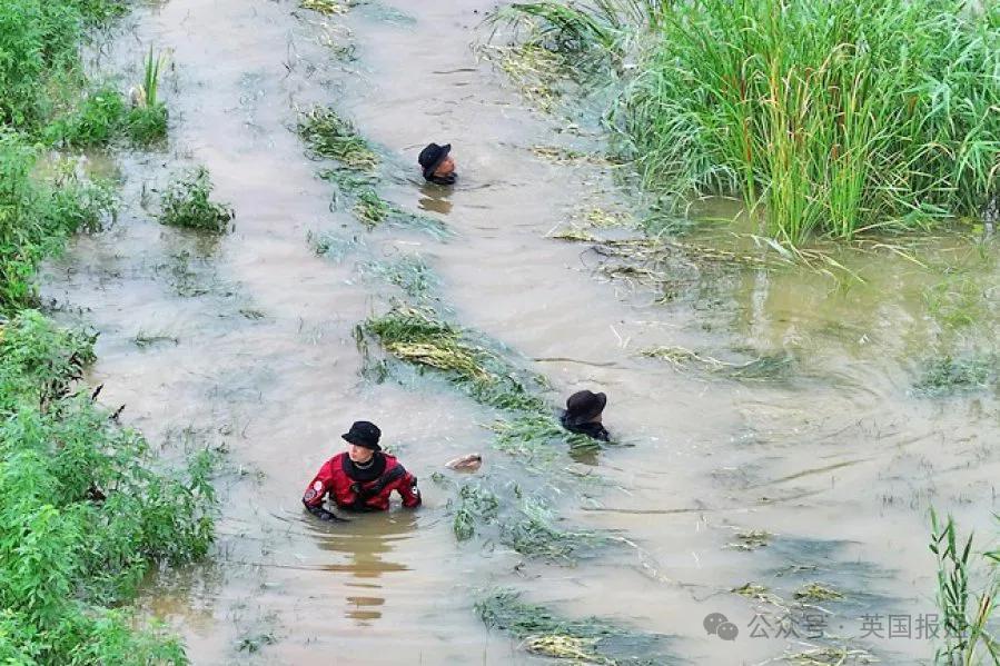 韩国泡菜价暴涨,紧急进口中国大白菜!营养不良人数翻2倍