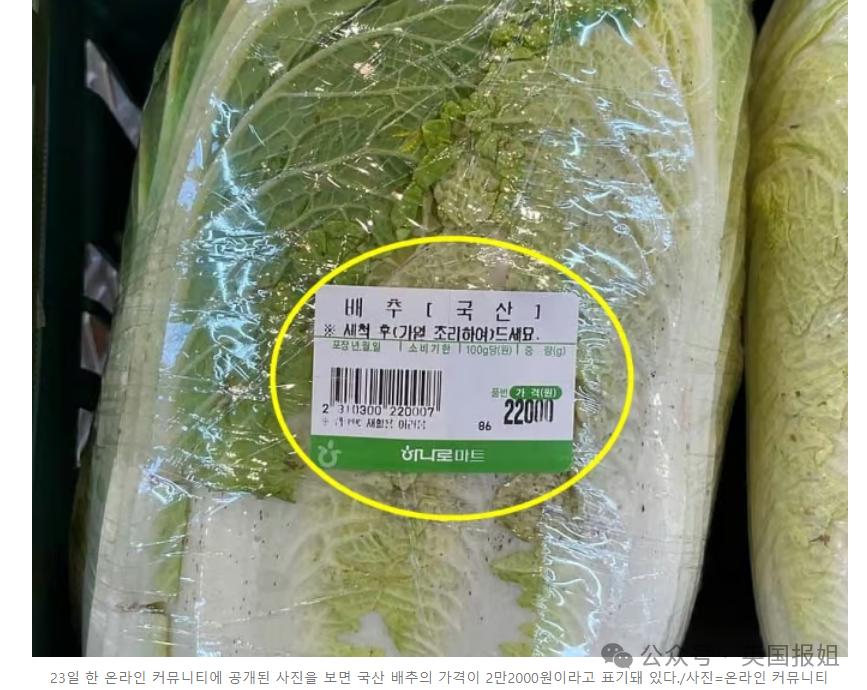 韩国泡菜价暴涨,紧急进口中国大白菜!营养不良人数翻2倍