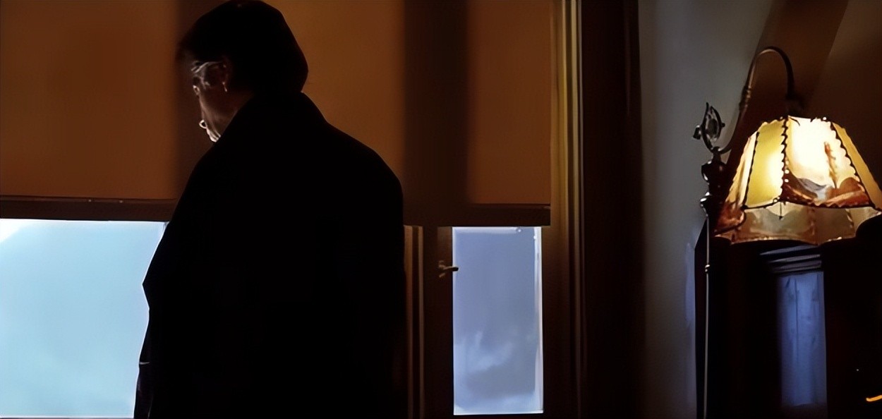 豆瓣评分:9.0分 !《白夜追凶》这部电影被称最值得看的悬疑片