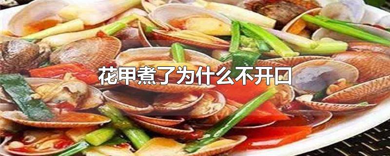 ​花甲怎么煮了不开口 花甲煮不开口是什么原因
