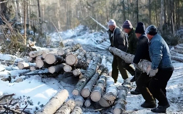 座山雕原型张乐山,真人比电影中凶残百倍,连张作霖都拿他没办法