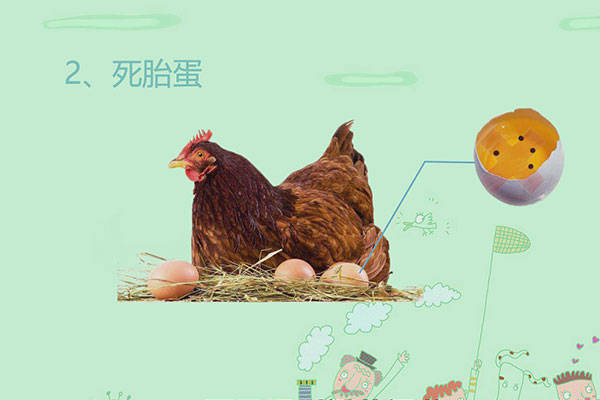 鸡蛋里面黑了还能吃吗图片搞笑 鸡蛋里边黑了还能吃吗