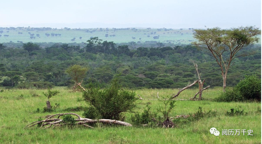 每天了解一个国家—乌干达