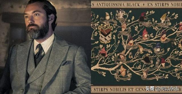 ​哈利波特巫师是如何产生的？哈利波特:关于巫师家族