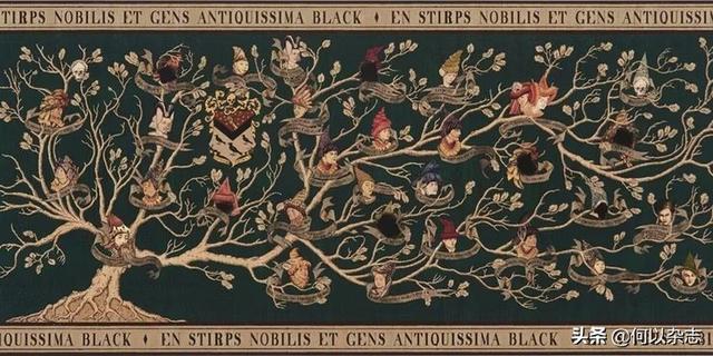 哈利波特巫师是如何产生的?哈利波特:关于巫师家族