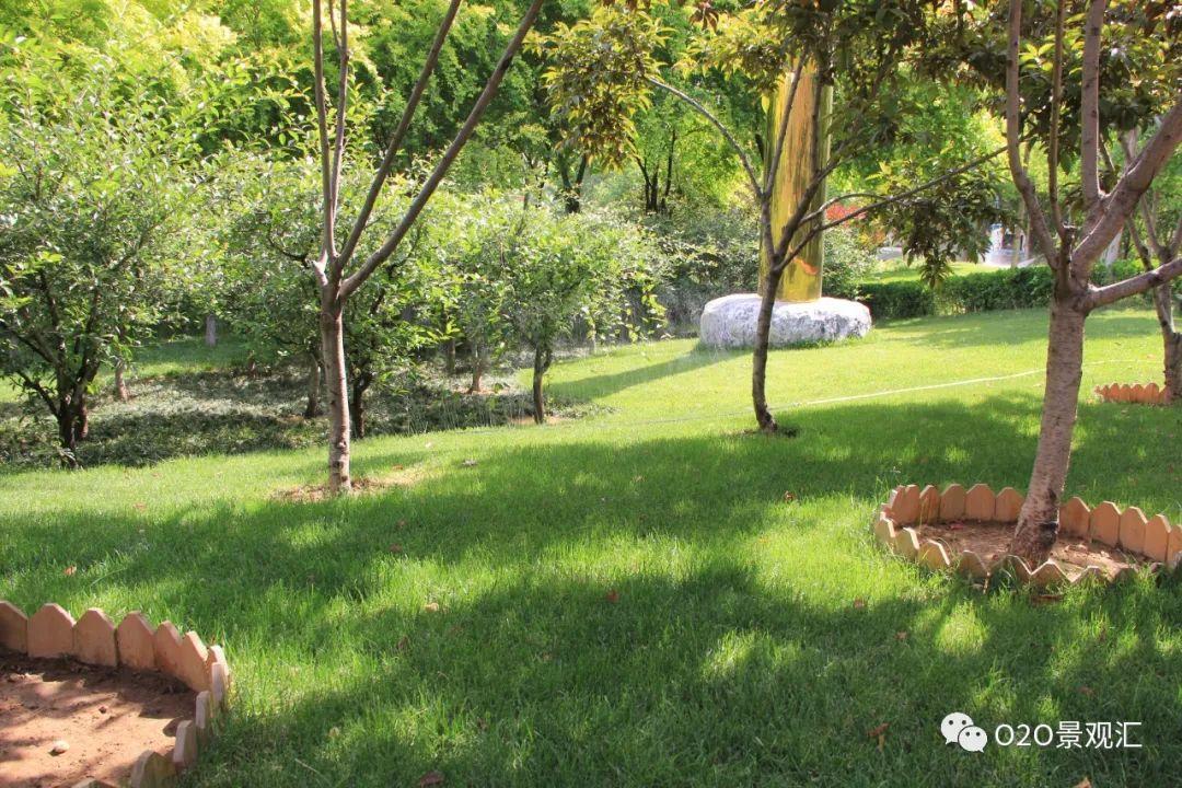 践踏草坪的危害 草坪到底能不能踩踏