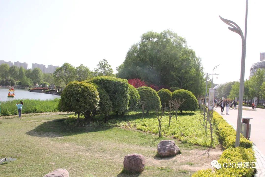 践踏草坪的危害 草坪到底能不能踩踏