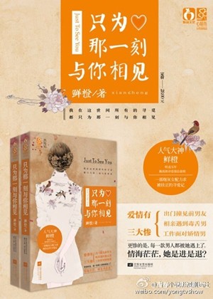 ​电视剧只为那一刻与你相见什么时候播出 主演是谁 剧情介绍