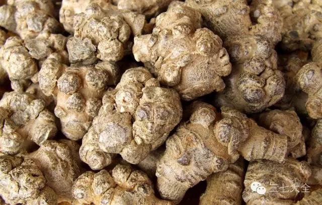 三七等级划分对照表?该怎么选三七?