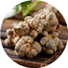 三七等级划分对照表?该怎么选三七?