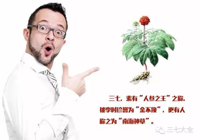 三七等级划分对照表?该怎么选三七?