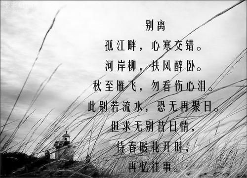 ​分离的诗句关于爱情(毕业分离的诗句)