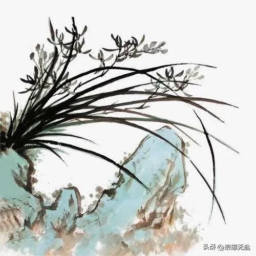 有关兰花的诗句经典？10首经典古诗词与您共赏