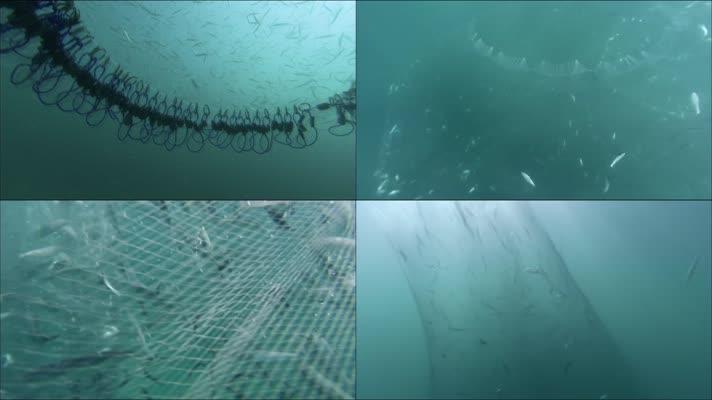 渔网捕鱼的原理图解？空无一物的底下如何捕捞海量鱼群