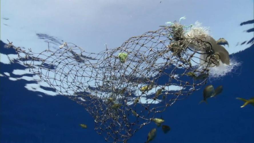 渔网捕鱼的原理图解?空无一物的底下如何捕捞海量鱼群