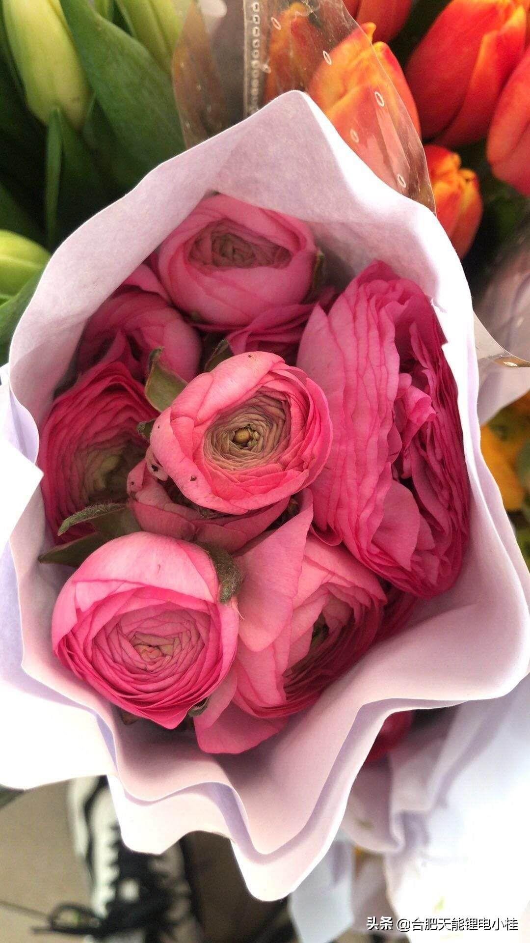 三八节送什么花最合适？妇女节送什么花合适