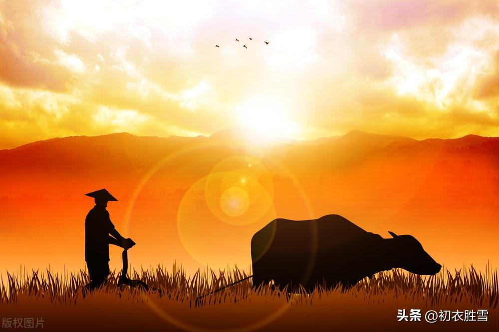 日出而作日落而息下句什么意思？最古老的诗歌《击壤歌》