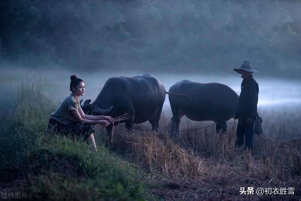 日出而作日落而息下句什么意思?最古老的诗歌《击壤歌》