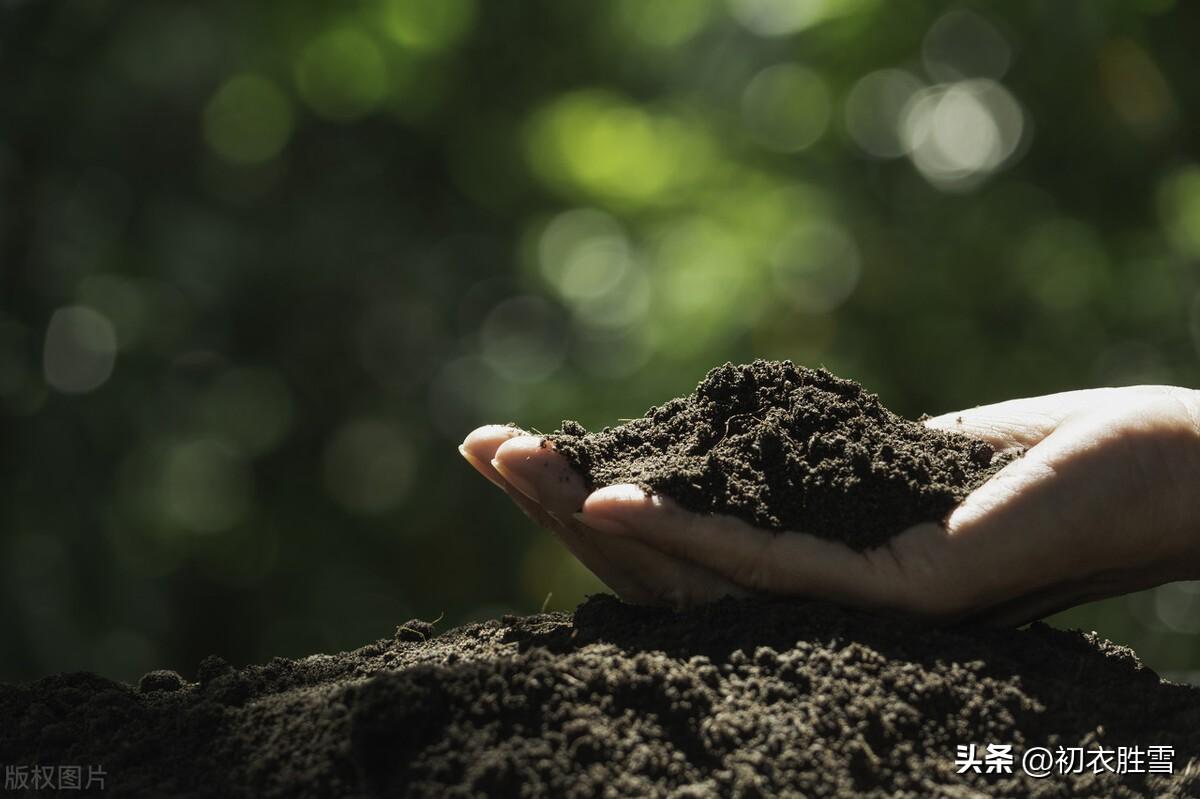 日出而作日落而息下句什么意思?最古老的诗歌《击壤歌》