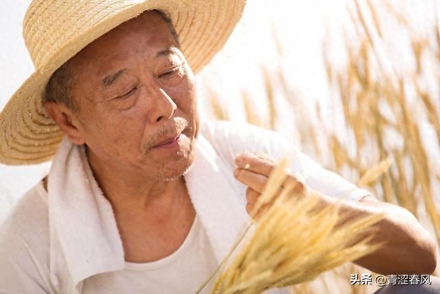 民以食为天下一句打一肖？民以食为天，食以安为先！