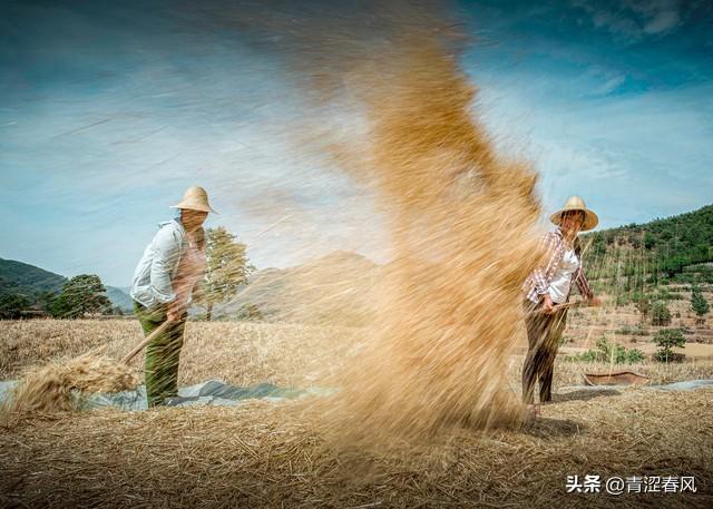 民以食为天下一句打一肖?民以食为天,食以安为先!