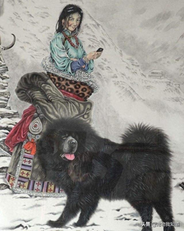 纯种藏獒多少钱一只？现在还有真正的藏獒吗？