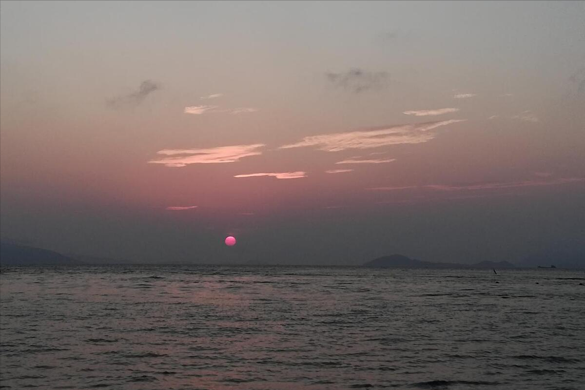 干戈寥落四周星全文?文天祥《过零丁洋》