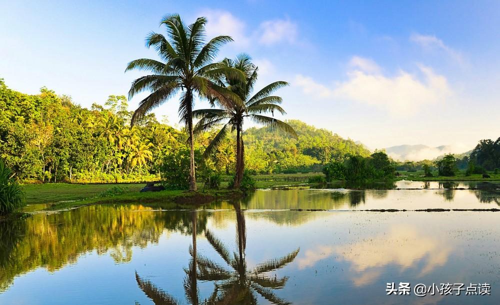 竭尽所能的意思是什么？竭尽造句和解释