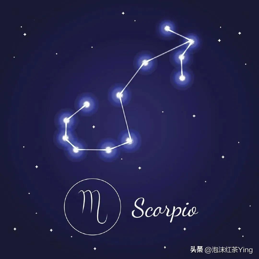 11月19什么星座？聊聊天蝎座