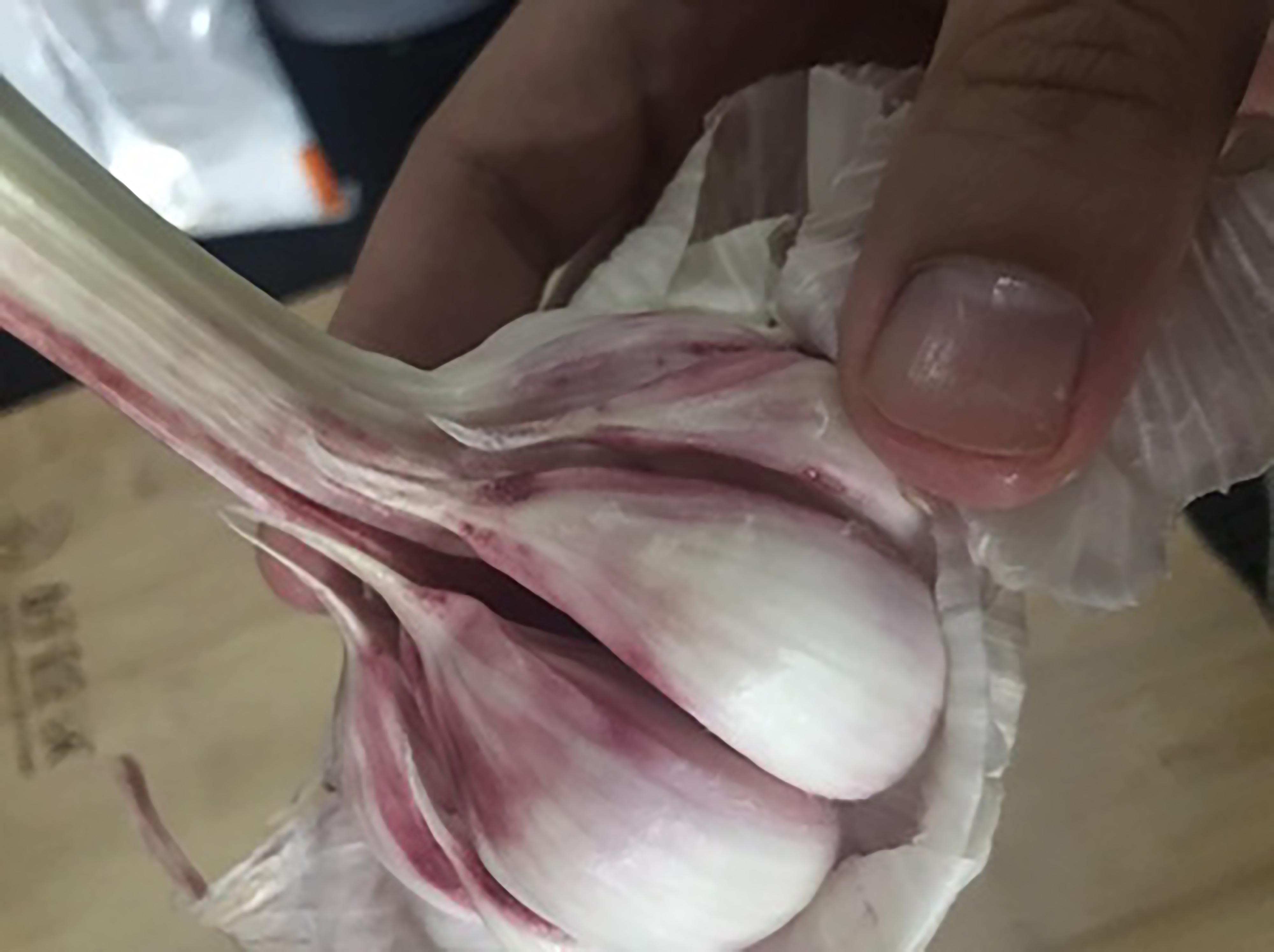 蒜头长出来的是什么?大蒜发芽到底能不能吃