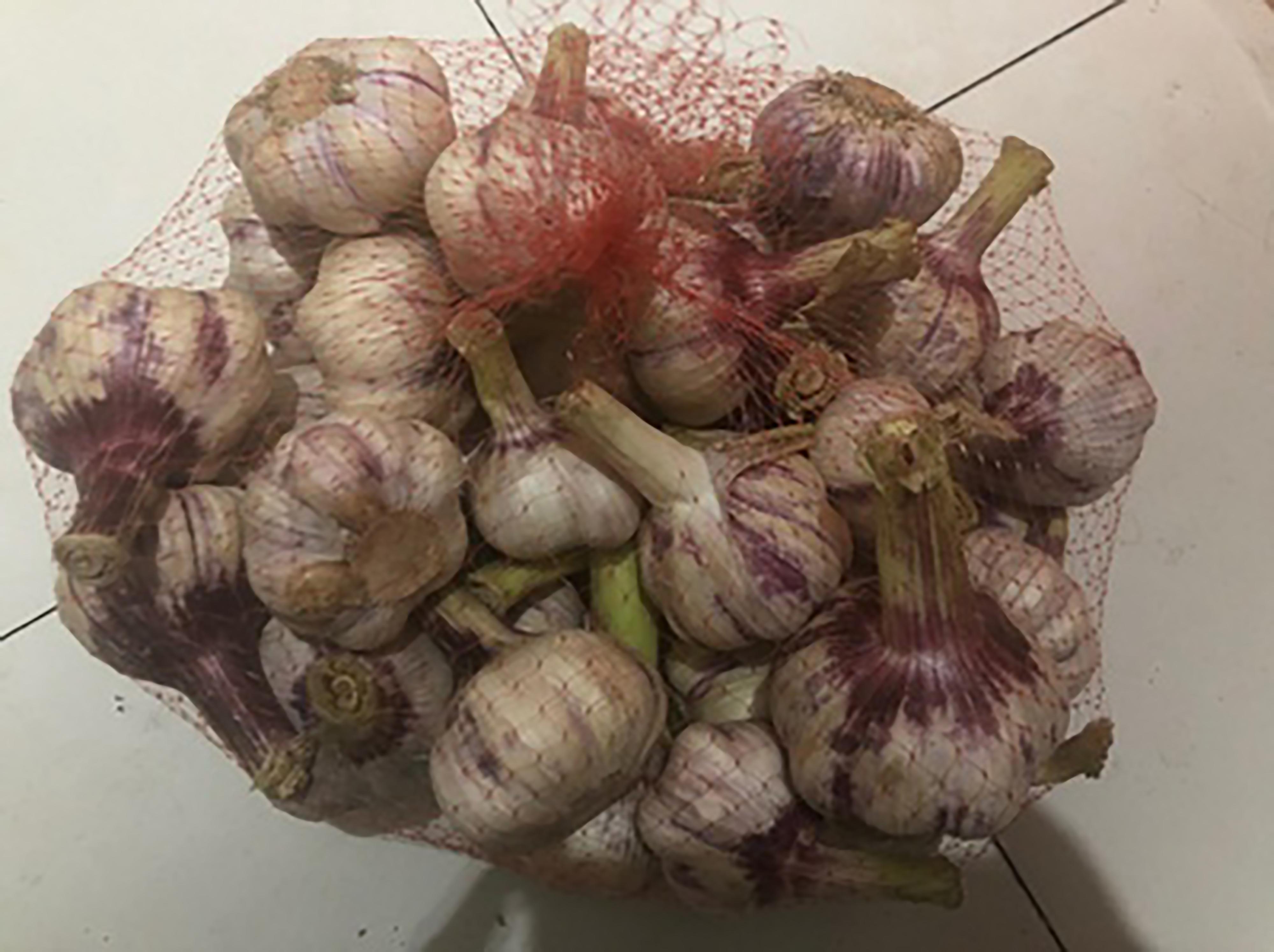 蒜头长出来的是什么?大蒜发芽到底能不能吃