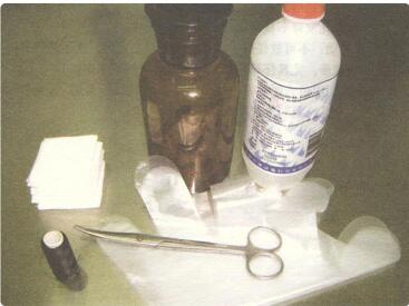 狗狗生产需要准备什么东西?母犬生宝宝前的准备