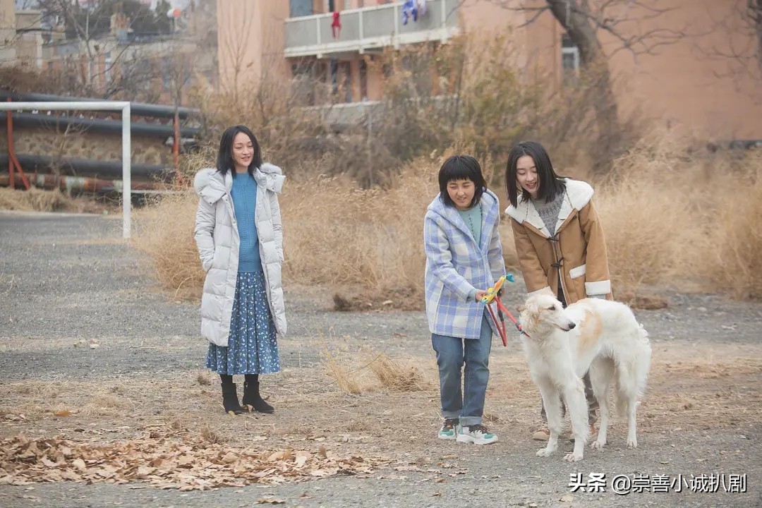 9部周迅主演的爱情电影,没看过的要看看,看过的可再赏赏