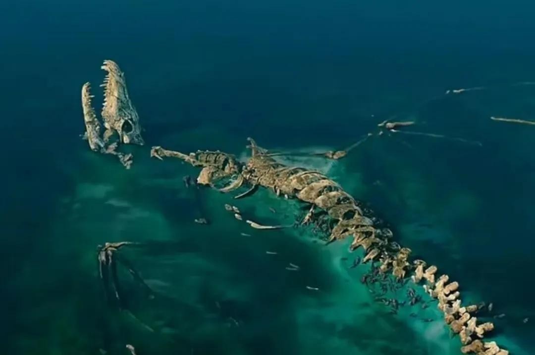 人兽之恋,这大尺度电影不容错过!