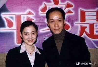 梅婷主演的电视剧有哪些