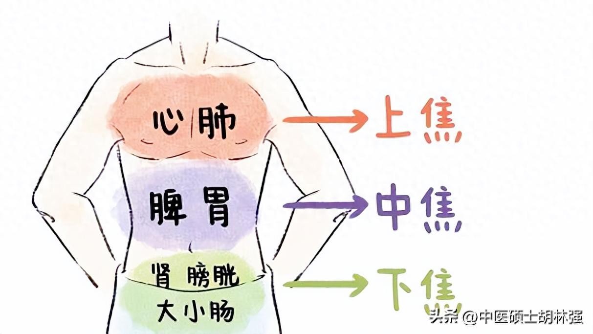 ​黄氏三兄弟：黄芩，黄柏，黄连，专克“三焦之火”99%的人不知道