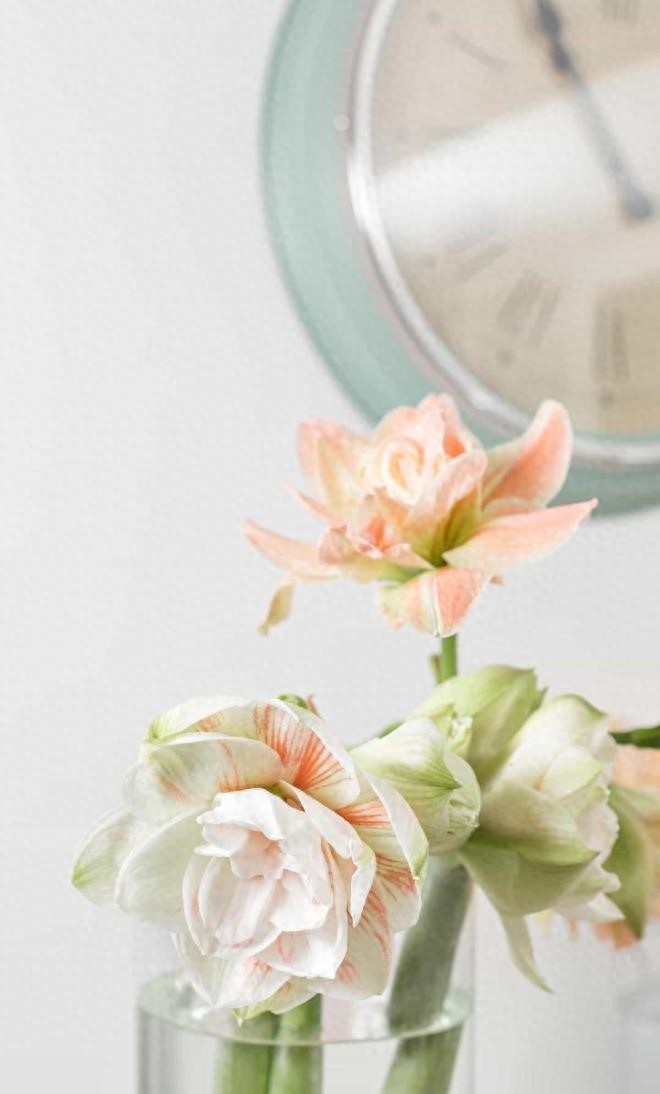 ​扶弟魔说：只要给弟弟买一套房子，女子什么都不要就跟男方结婚