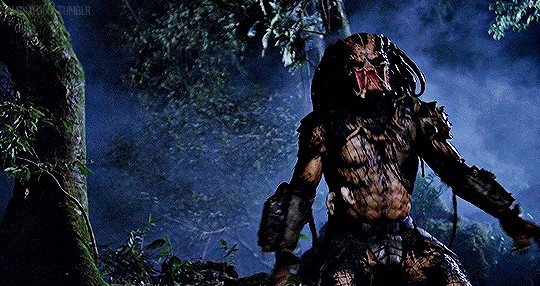 健身迷必看——施瓦辛格的十部电影代表作