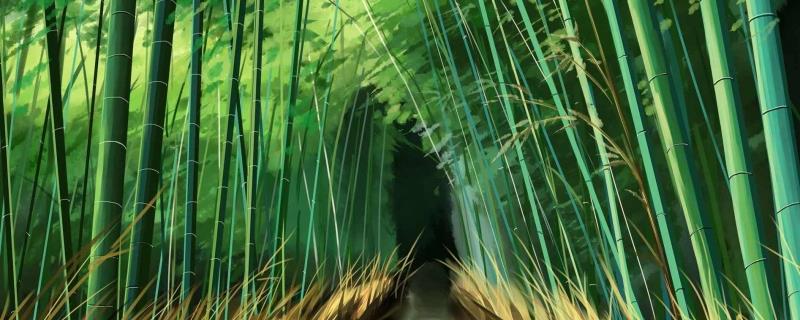 竹子有什么寓意