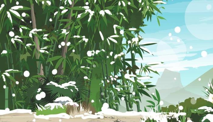 竹子有什么寓意