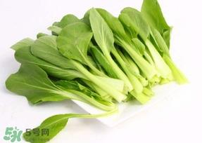 鸡毛菜怎么种？鸡毛菜的种植方法