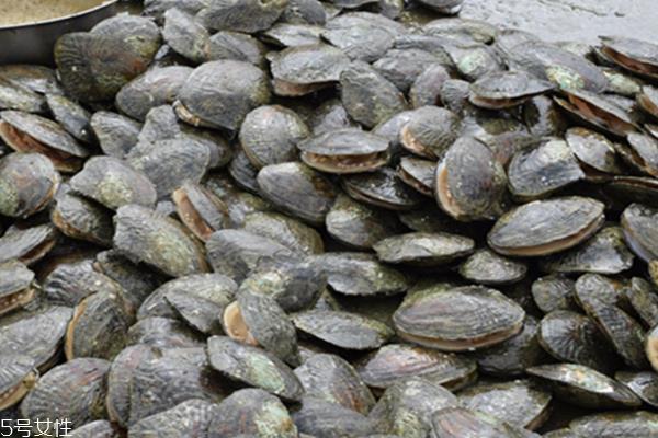 河蚌能和牛肉一起吃吗？这个搭配没毛病