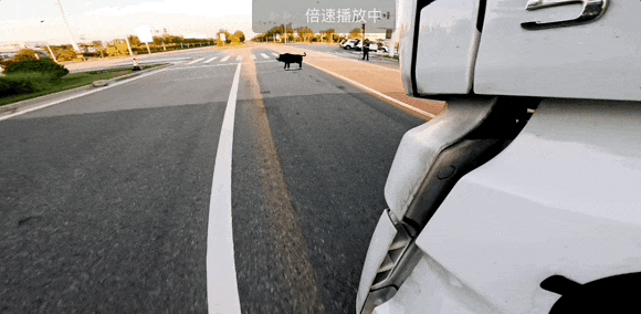 400辆Robotruck在内蒙盈利了(图9)